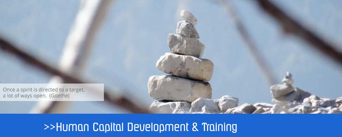 human capital development program image